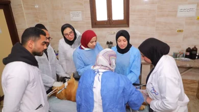 25d952a630ee3ce2e7bd2cd51b14a88b