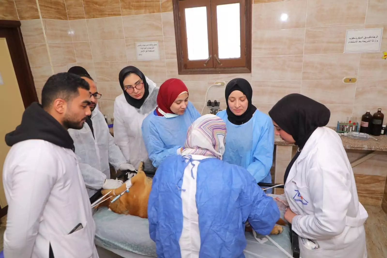 25d952a630ee3ce2e7bd2cd51b14a88b