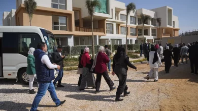 277822d9ffe7c22f10e5aeeed0a6ee4c