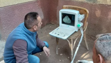 2999992c527a81e56f9aeda0b450ef6e