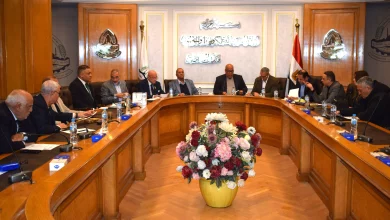 2bd2cdcc75785876cae28e67bb96b5e9