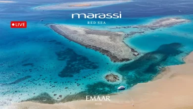 322289c320e9dc1e4e85c2d83c0b8d1f