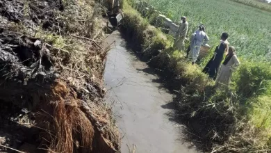 3675a88da42097b2048eeccd12613c12