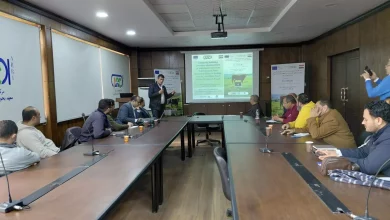 43b8bcc551747bb5c58ae38ab3c85c64