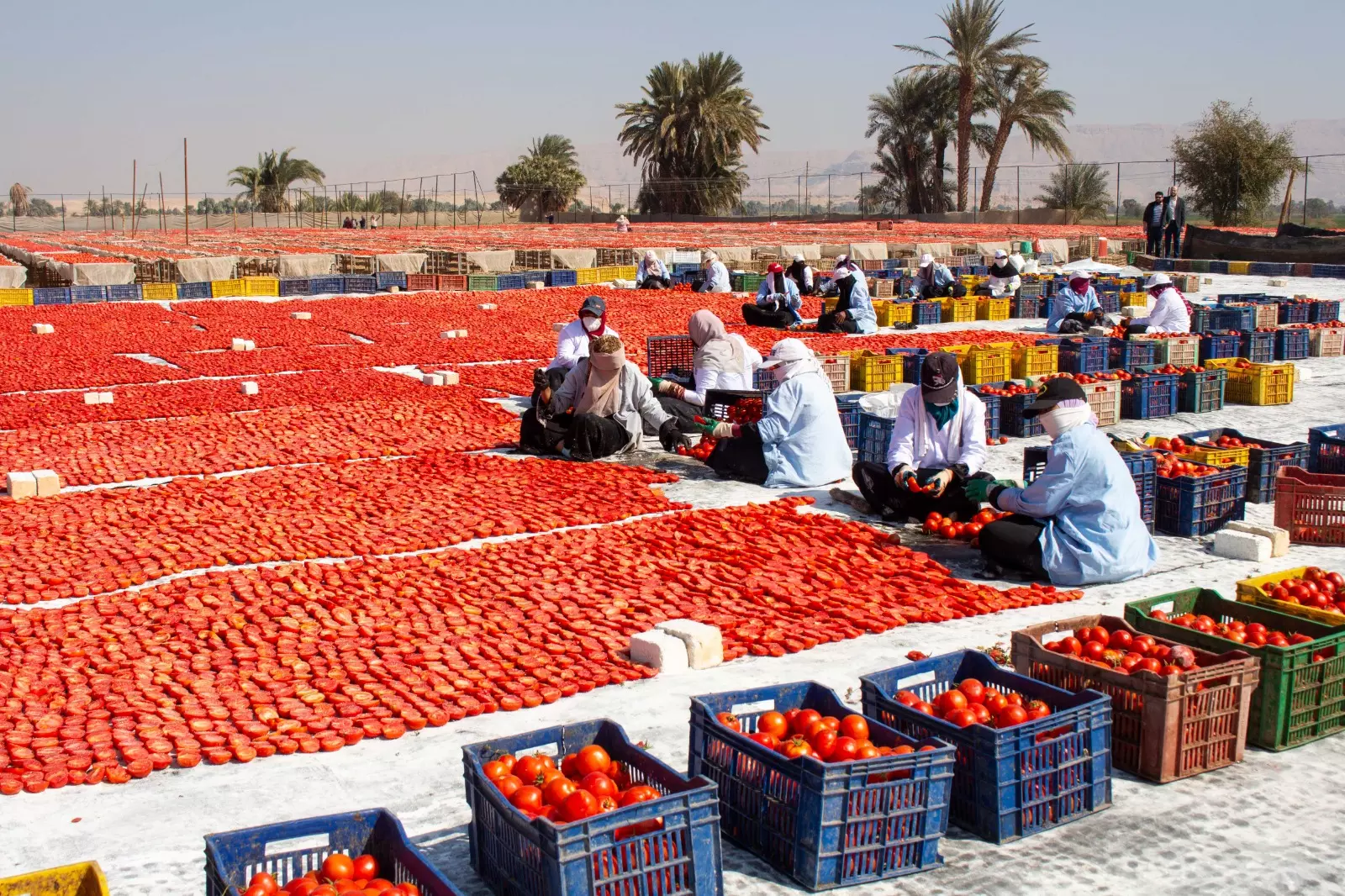 544159fe4f24d61d2445498cc6ee49f2