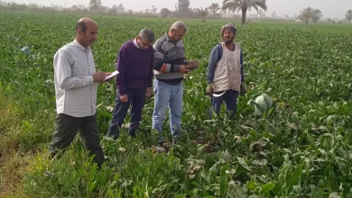 547875bb47be66513190202ea13ef00f