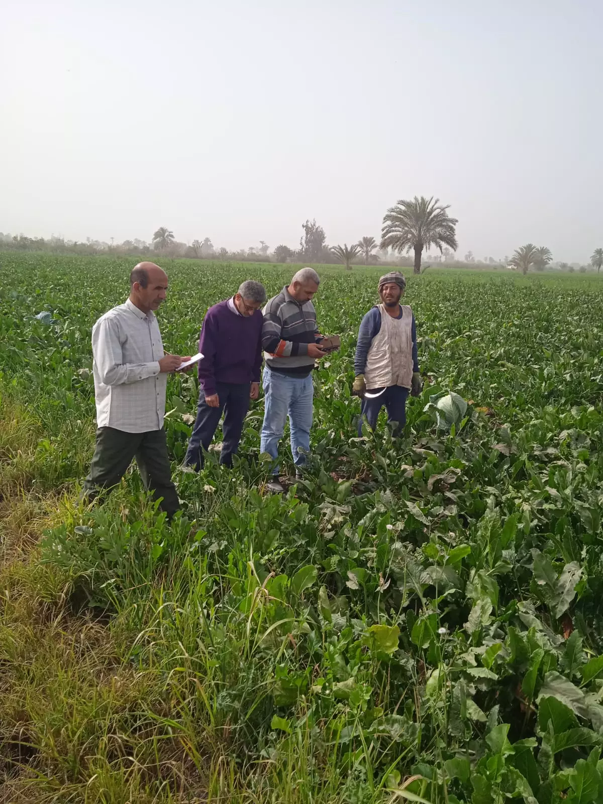 547875bb47be66513190202ea13ef00f