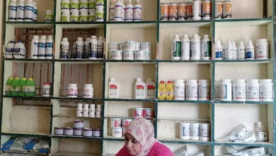 5e14280881a69b0f3668dbd094f30d8b