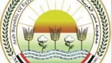 6d609ac8472e3f235d382f768af48dba