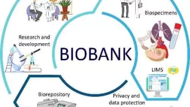 75af9463363a41f451a576acaef79c28