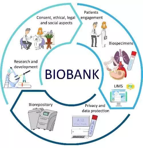 75af9463363a41f451a576acaef79c28