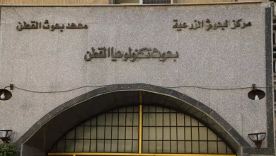 785d48164808054590b97ead4902a1a3