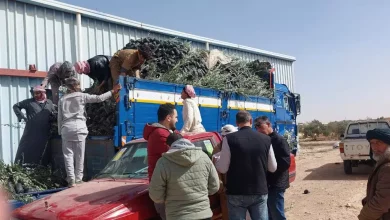 7860bf82d7bbac8c29b4fa2431927838