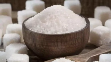 7a0dd138b6b29c288028040402e53f72