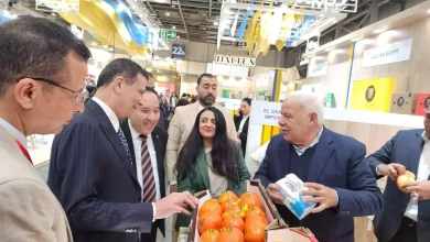 7e6312bbe3f54756dbf4b34cf5846afd