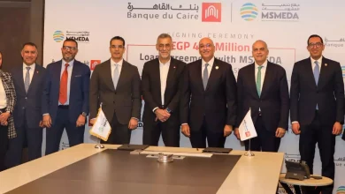 7f90360056f3e7d85fd287fe4749d501