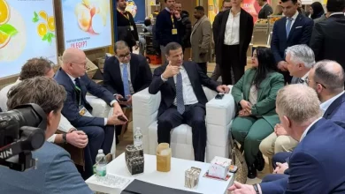 818f1e2a2f29a8fdb2dfc2d848cb6fa6