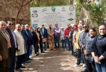 8b50960094776a28227932f58993eb53