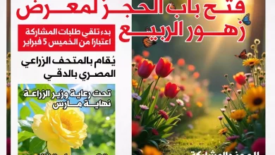 8ef6a634786431a540ce72b0a05cd8ac