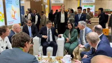 A1e268f6d48a87789b93401c3a499f57