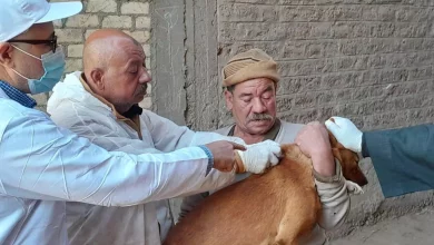 Ac3358a20264a536160cc315ef1a9745