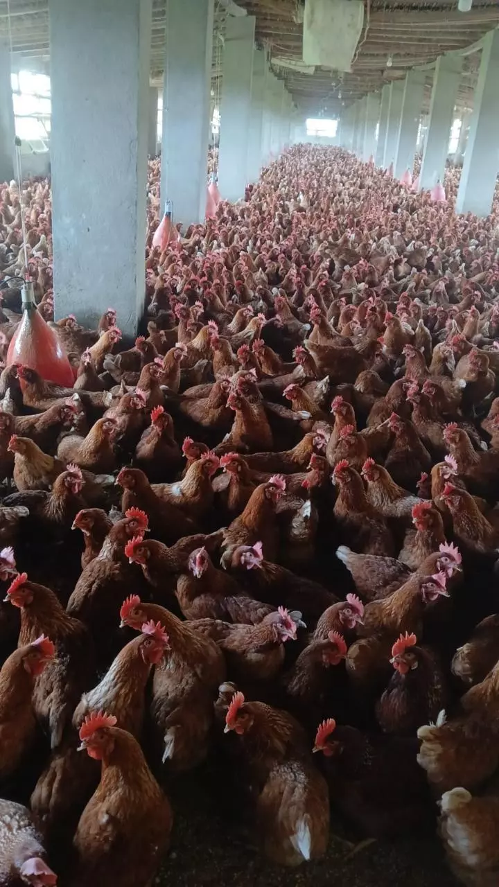 Bfff2f6eb463f7ec57ba6739b65c52c7