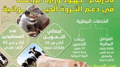 C3abcd593c415a38db370b42b93613a3