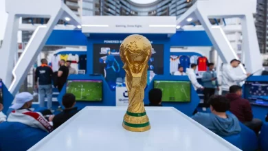 C525379a521593e8dee628357e265251