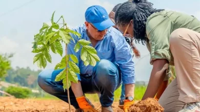 D97a8e02ac089ffbc9ccf28b278b112b