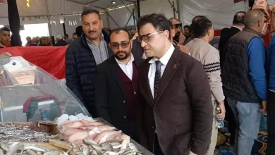 E6e128cf3f143a38189879ef73568bed