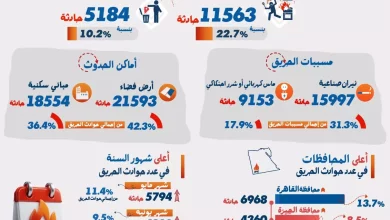 E9b03a9035ad07cd33d3b919833bf70e