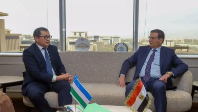 F027d95eac10bda1cb8e83b10ad064a5