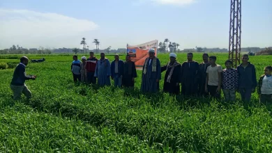 F69ce04ee05205b473ddb70d2d589f35