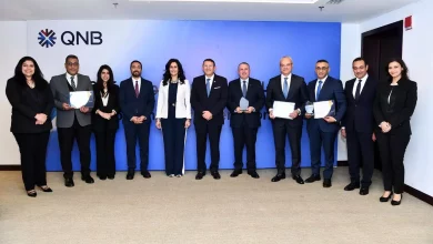 F91583c2447882938846df9b697e554d