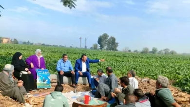 Fd2362b1eec157eae110bf4055ef2021