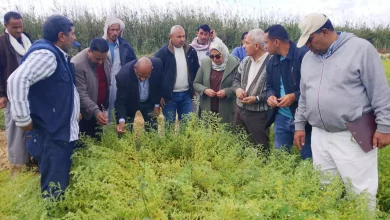 0438ddca300d74811c2106172baf1046