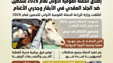 0815a5b3a8013ef27c19ab858d0f06be