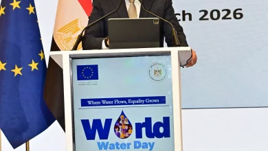 0a62e3496bfea2c2b5e78d03d2bea65e