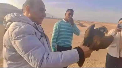 1070fd4a71ddabce5dfd29e15dd841fb