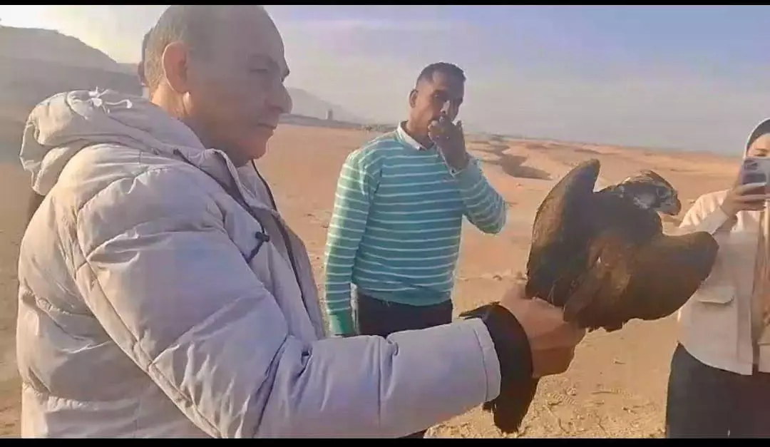 1070fd4a71ddabce5dfd29e15dd841fb