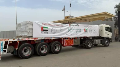 12e0a5754da63904054630e9a3df4f8d