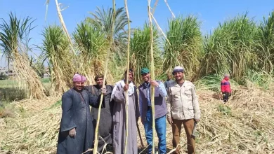 186b47eb75b4318be7a37da9330ac18f