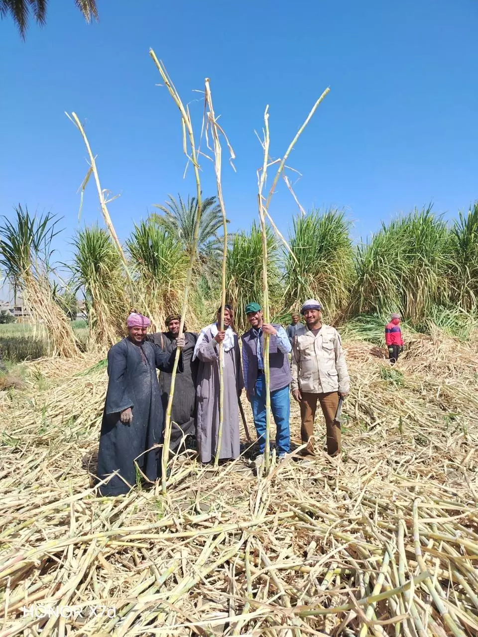 186b47eb75b4318be7a37da9330ac18f