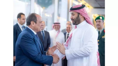 1eb85a0ddfad8ce8928474db4c3a8d58