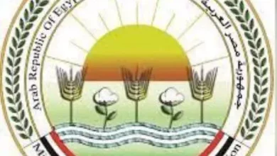 2015aa059ae3a928b28abc26616cb350