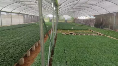 267af9aaa94e007ac23327020688aa2a