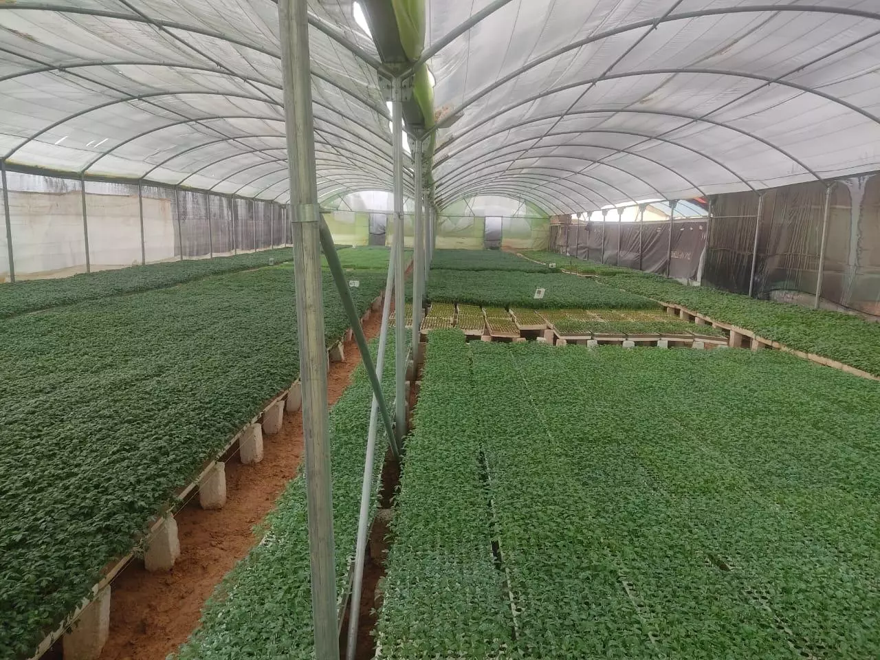 267af9aaa94e007ac23327020688aa2a