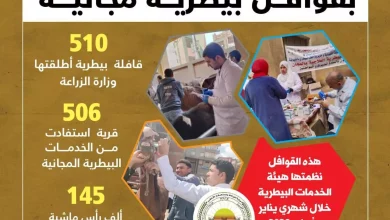 29a2f41780900a4c0f51c3e5995727c8