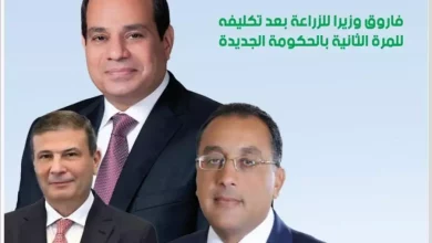 2aab34921abcf63280aa04df2e8f6c54