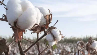 310962183101134b25287aa8f87f1992